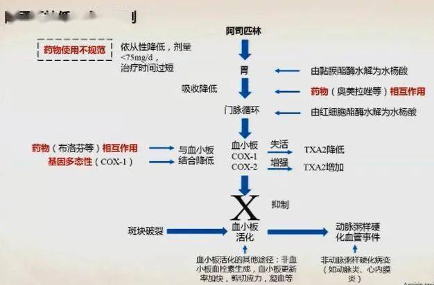 occ2021丨常用口服抗血小板药物低反应性人群诊疗策略