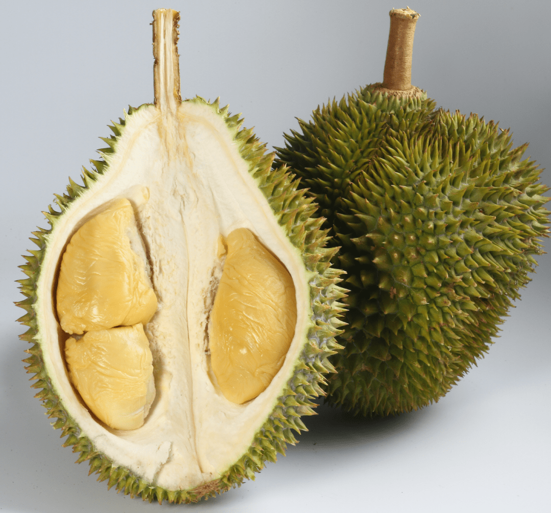 xo榴莲味道格外香醇,果肉带着一丝淡淡的酒味,味道偏苦与细腻,无疑它