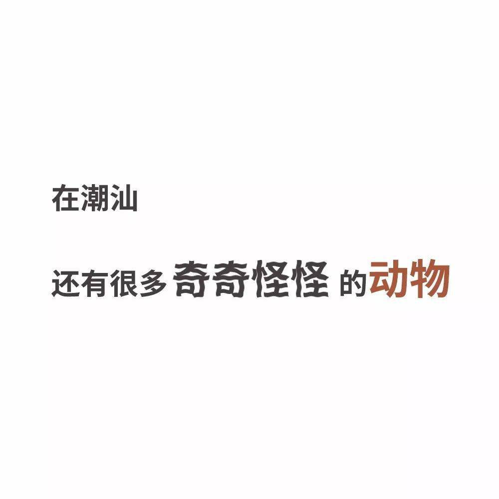 7497b37fa5344abcb5feb63595a8ffd3.jpeg