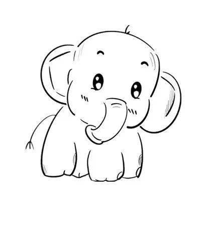 今天,我们采访了一位国际巨"象"_大象