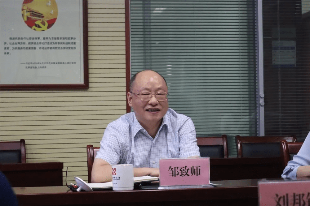 邹致师充分肯定了黄山供销集团在服务"三农,乡村振兴