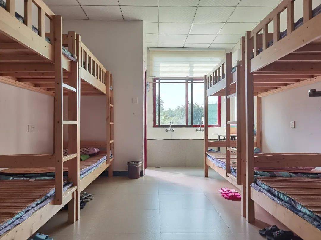 夏令营招募向上吧少年