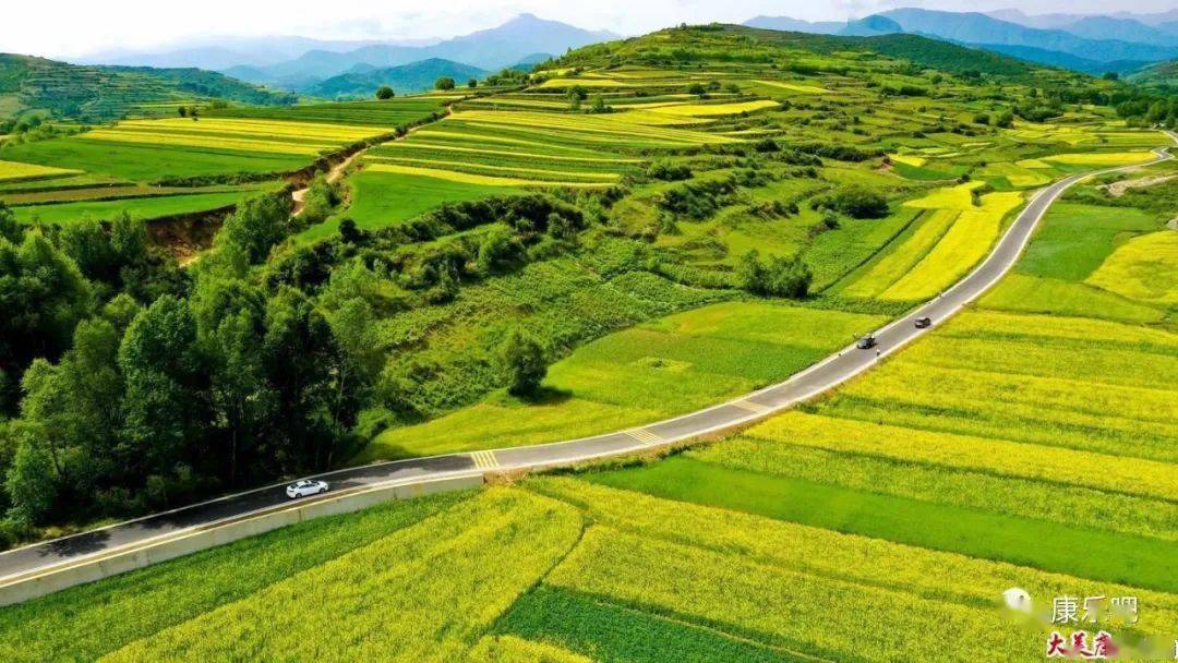 6月8日,康樂縣八松鄉岔路村,漫山遍野的油菜花,遠遠望去大地像披上了