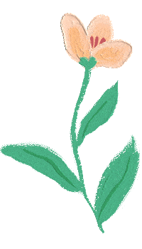 d176bf87111c417c844ab95f13e9f738.gif
