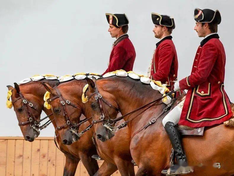 欧洲四大古典马术学校背后的那些历史
