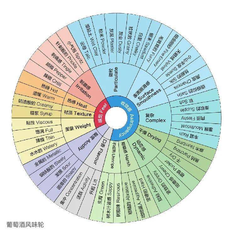 草莓等来描述一杯咖啡的风味,而这些风味的形容都来自咖啡风味轮