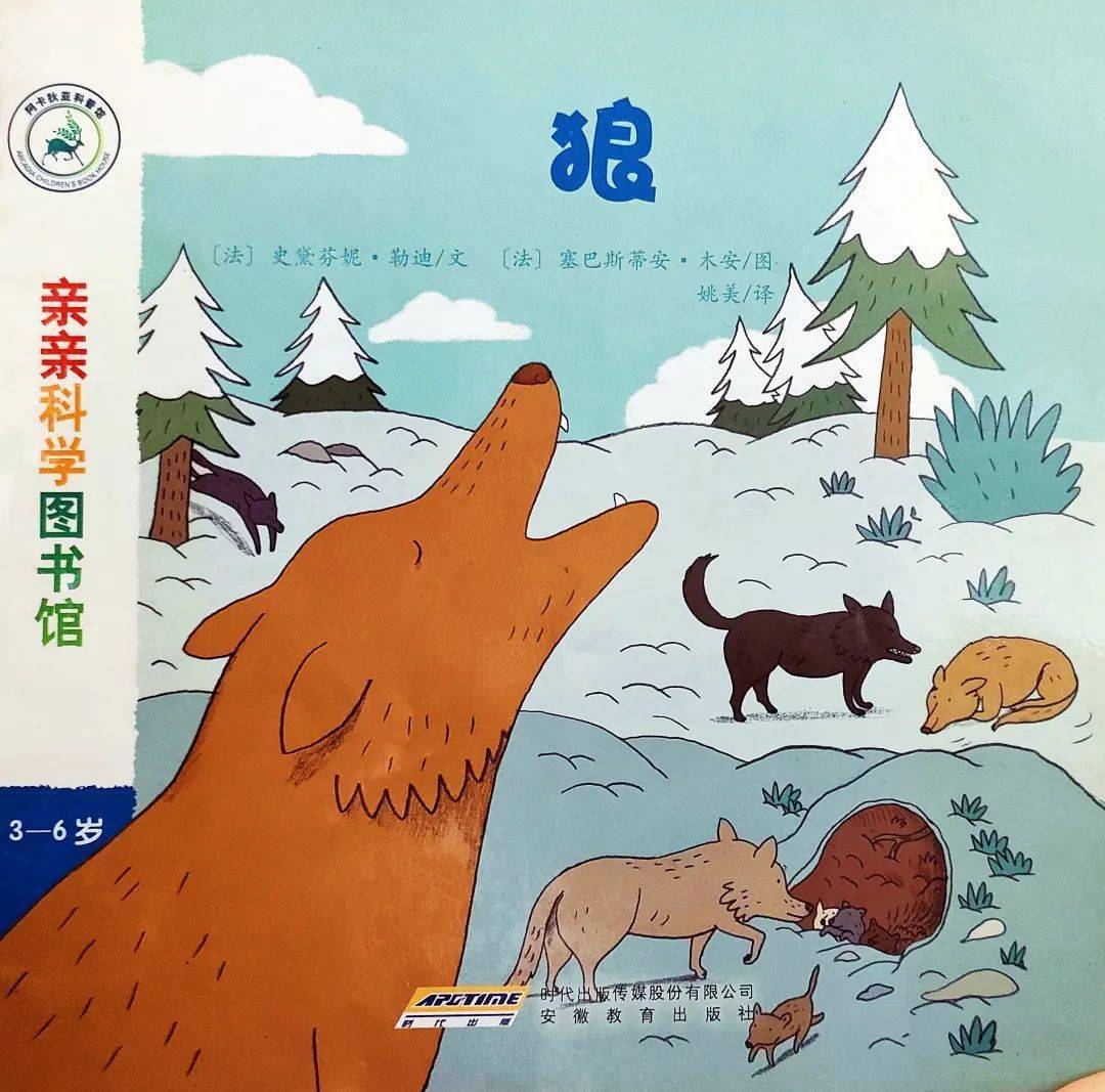 大灰狼来了!能不跑吗?_绘本故事