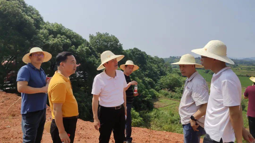 耒阳安商在行动|黎家能多次现场调度 推动重点项目落地_相关