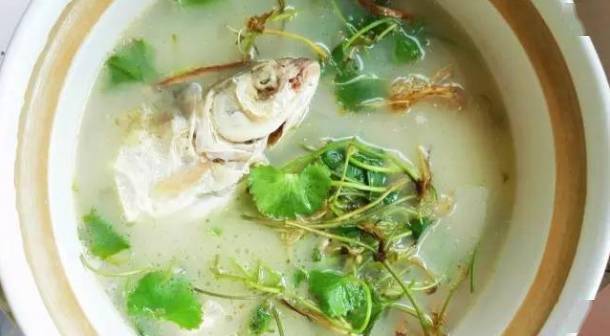 客家地区遍地可见的崩大碗居然还有这些功效