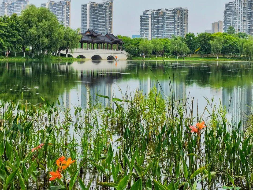 湖北唯一沙湖公园跻身首批国家级绿色营地你来过吗