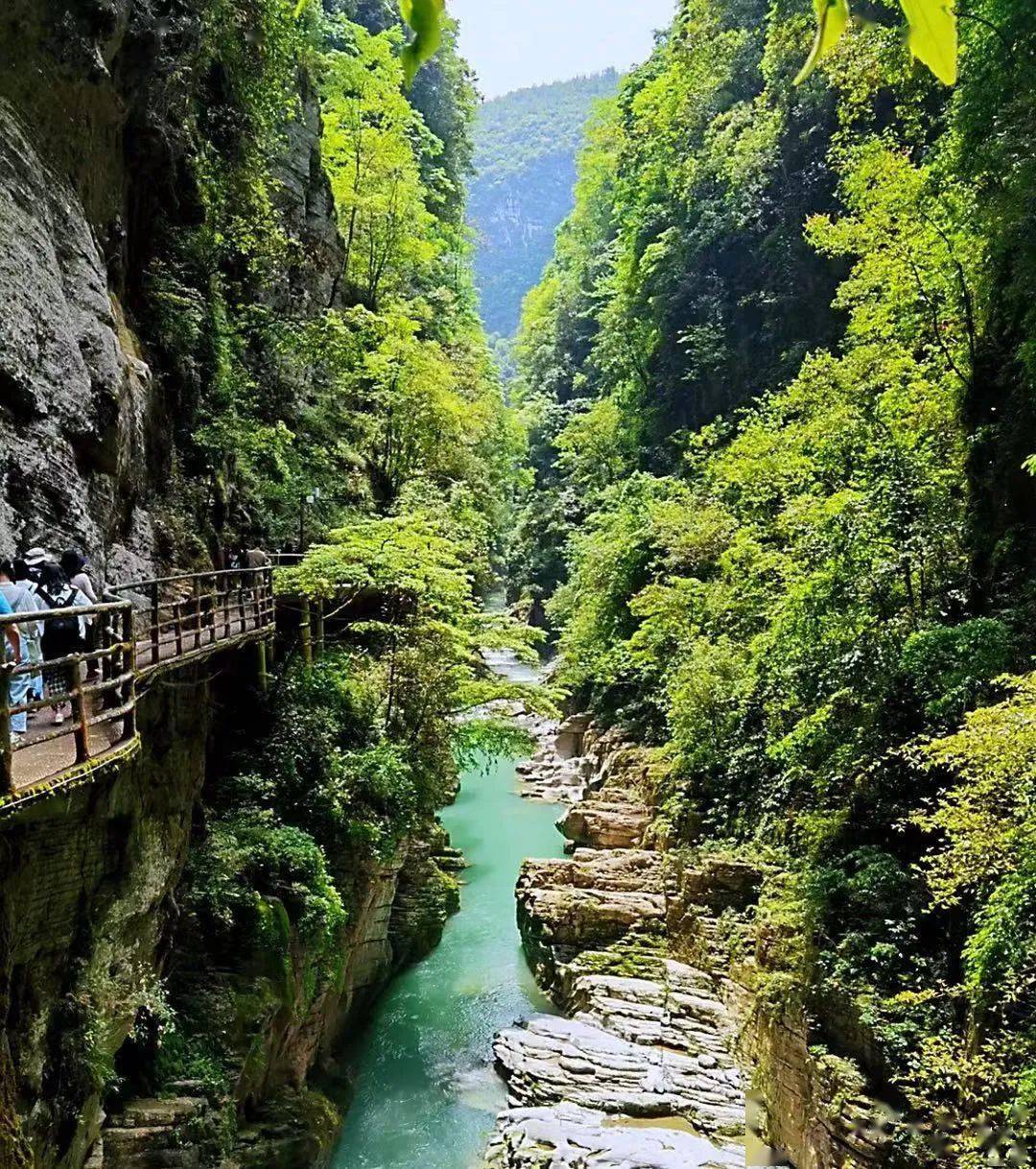 6天暢遊恩施地心谷,長江三峽,張家界森林公園等王牌景點,爽!