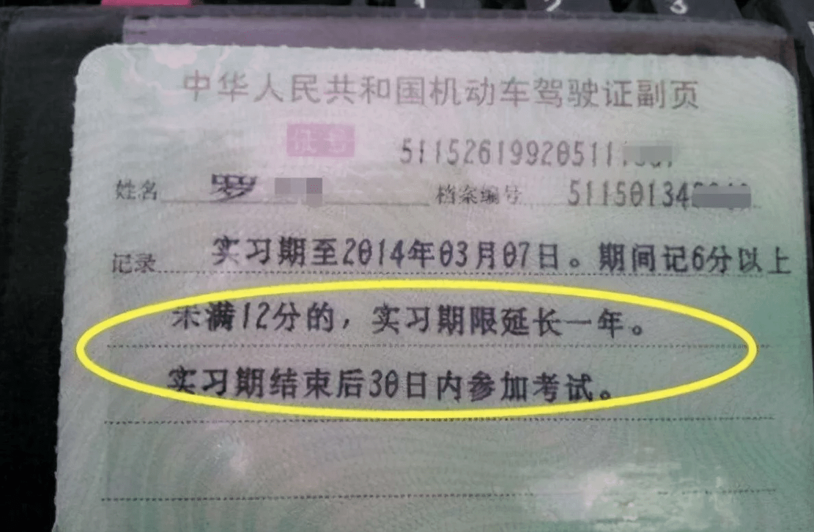 从今日起机动车驾照将出现大变化有驾照的都来了解一下