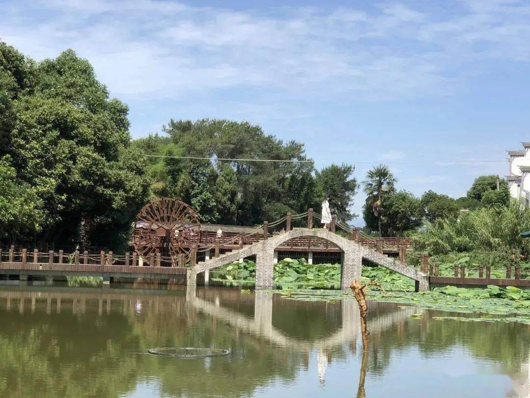 鐵牛村以西來郊野公園為載體,推動農商文旅體融合發展