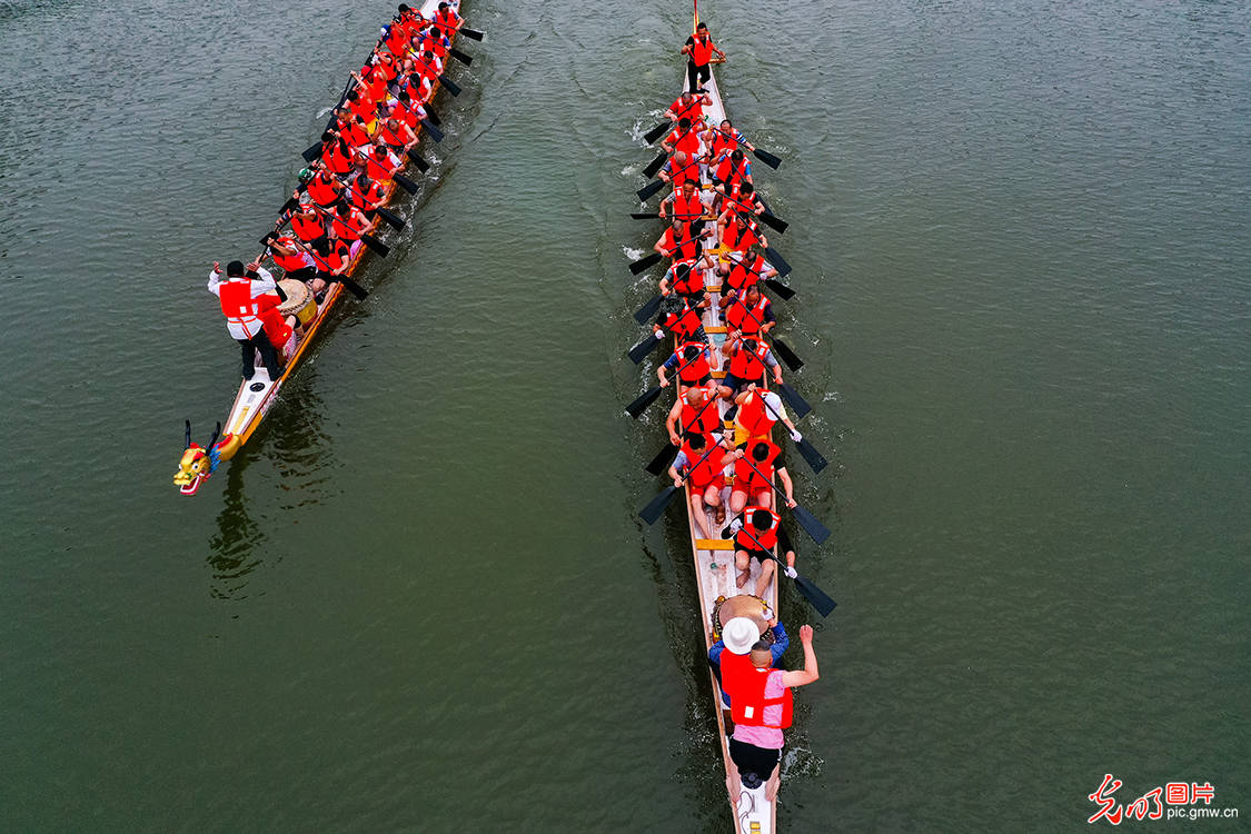 赛龙舟迎端午 重庆广阳龙舟会举行_比赛