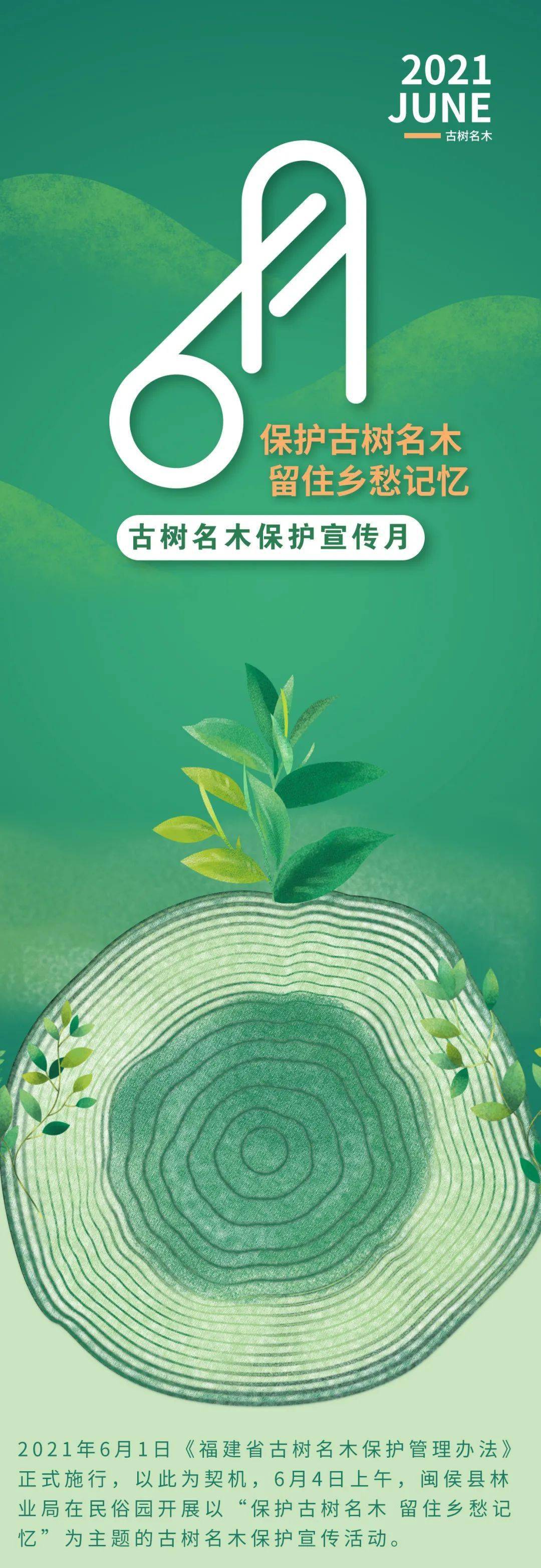 保护古树名木留住乡愁记忆