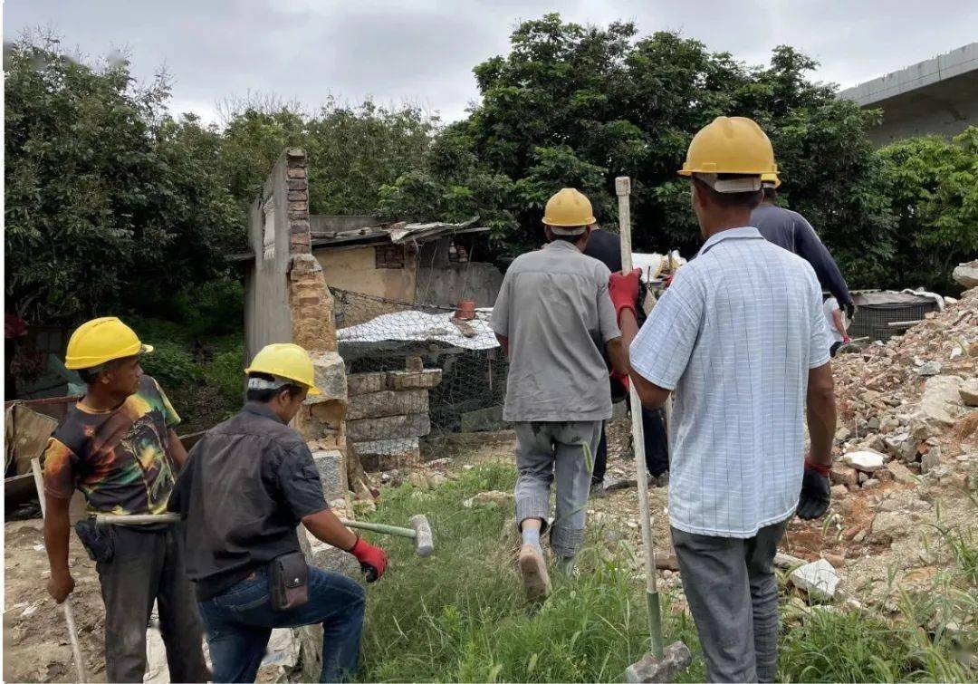 [快讯 惠安螺阳:拆除超面积超高度建设,违建鸡鸭舍,总面积约100㎡