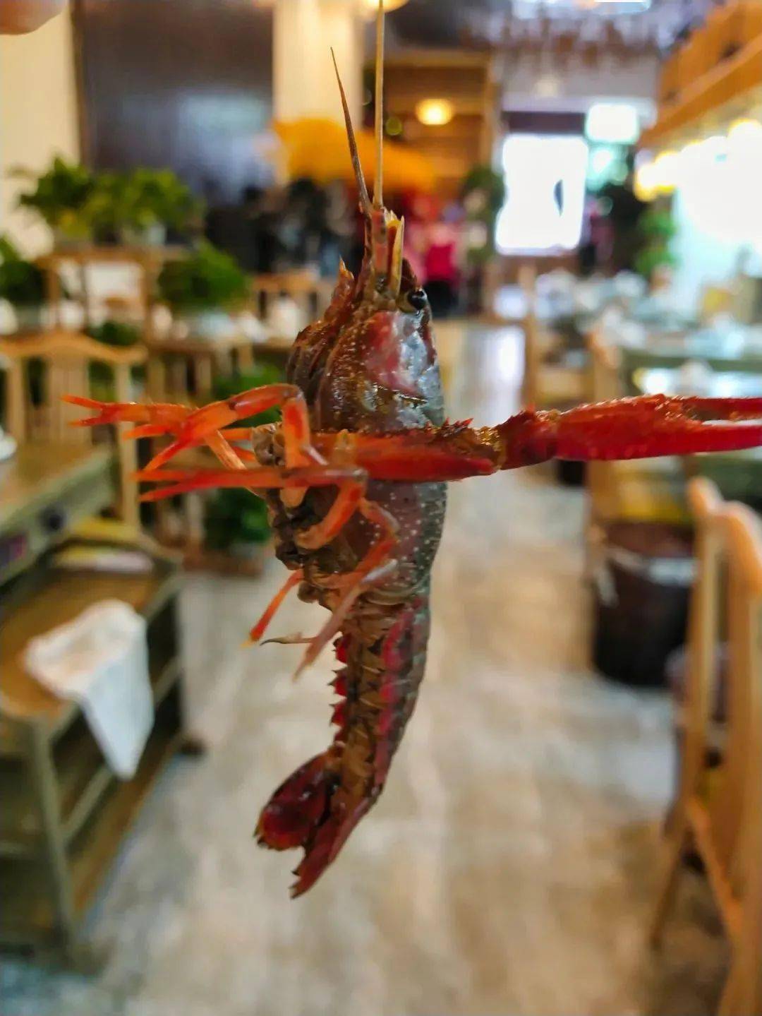 【品道鱼捞|城北门源十字|无需预约】69.9元享门市价214元小龙虾3斤