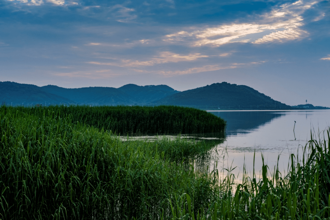 新观察!立法"太湖生态岛"