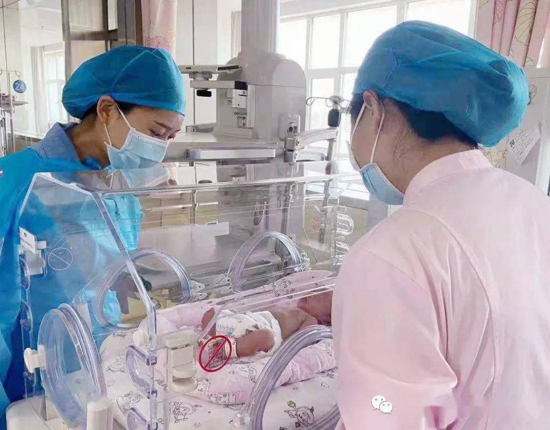 新生儿袋鼠式护理图片图片