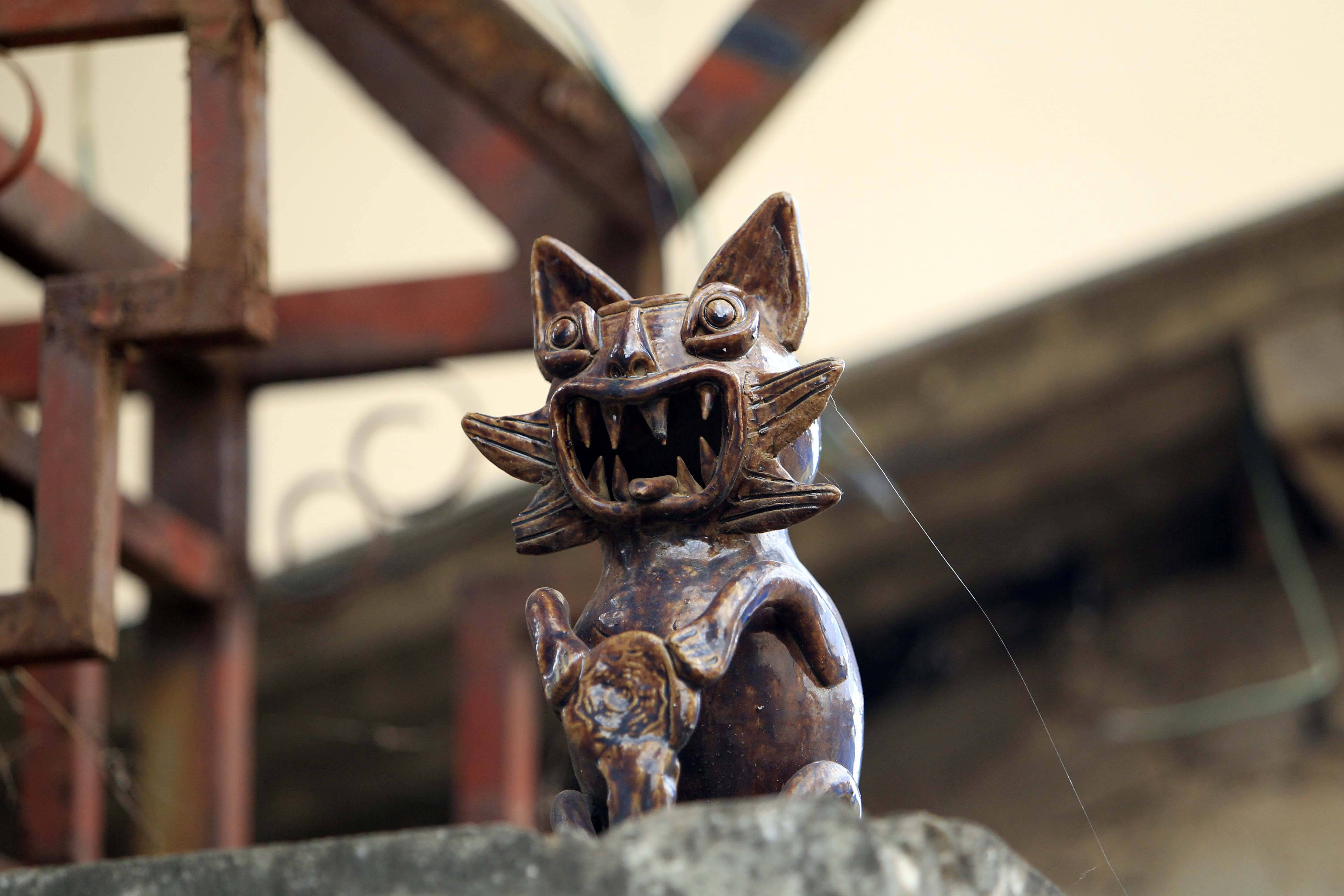 走下屋脊 云南瓦猫"安新家"