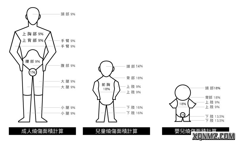 烧伤9分法图片图片