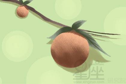 梦境迷踪，吃李子与被巨鱼追逐的深层寓意