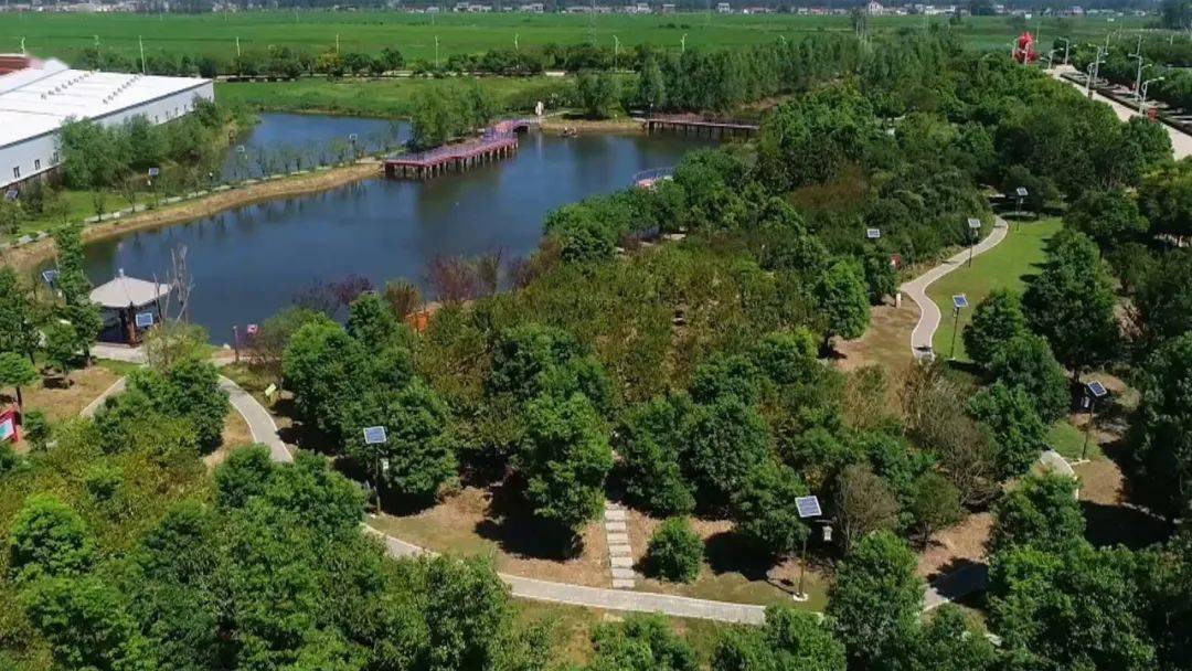 宝应广洋湖镇村村户户的腰包是如何鼓起来的附视频