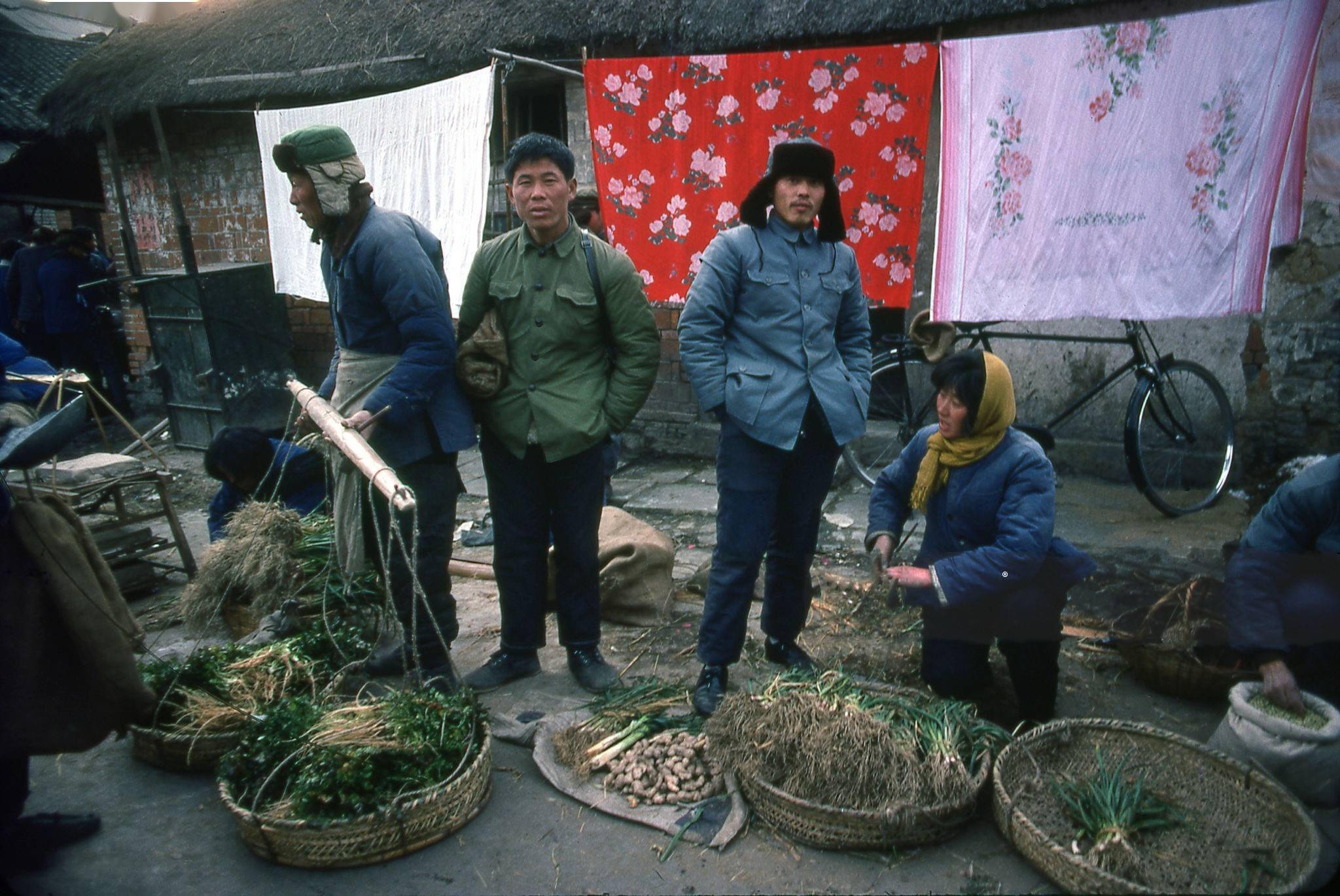 70年代老照片图库生活图片