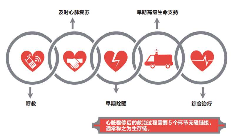 埃里克森生死时速救援堪称教科书急救生存链应环环相扣