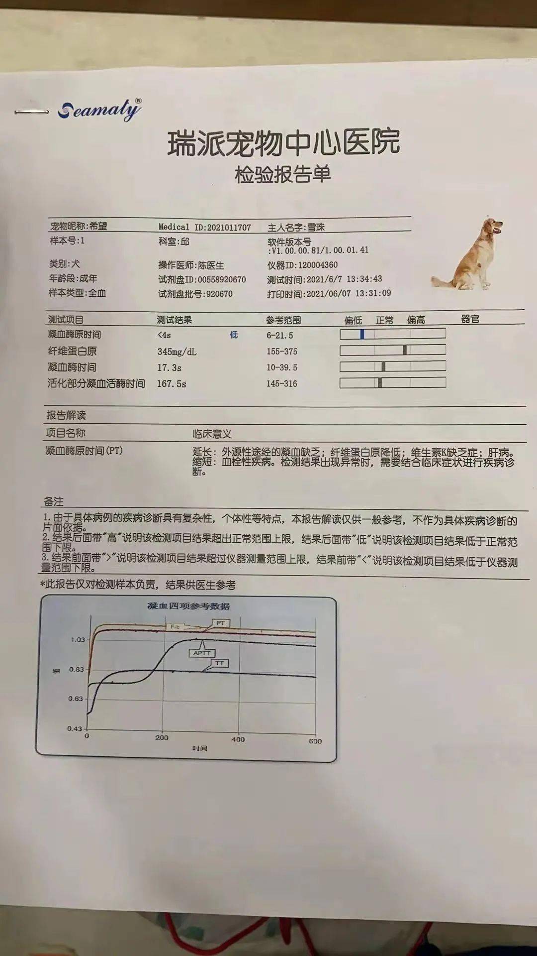 住院怎么查检查报告 91cc818c74d34c3db5cf31a6f039247c.jpeg