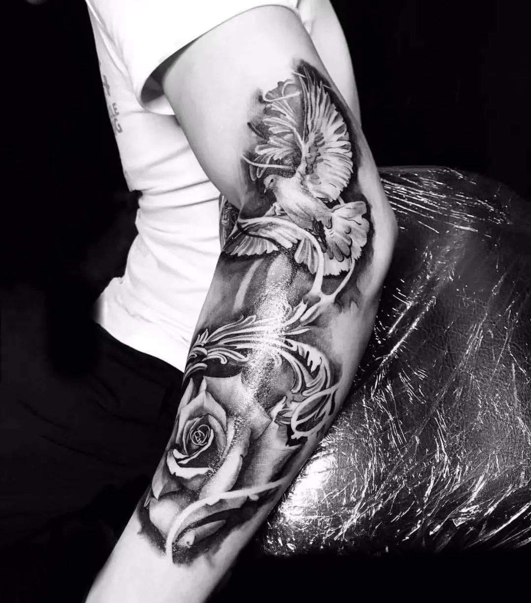 代表和平的白鸽