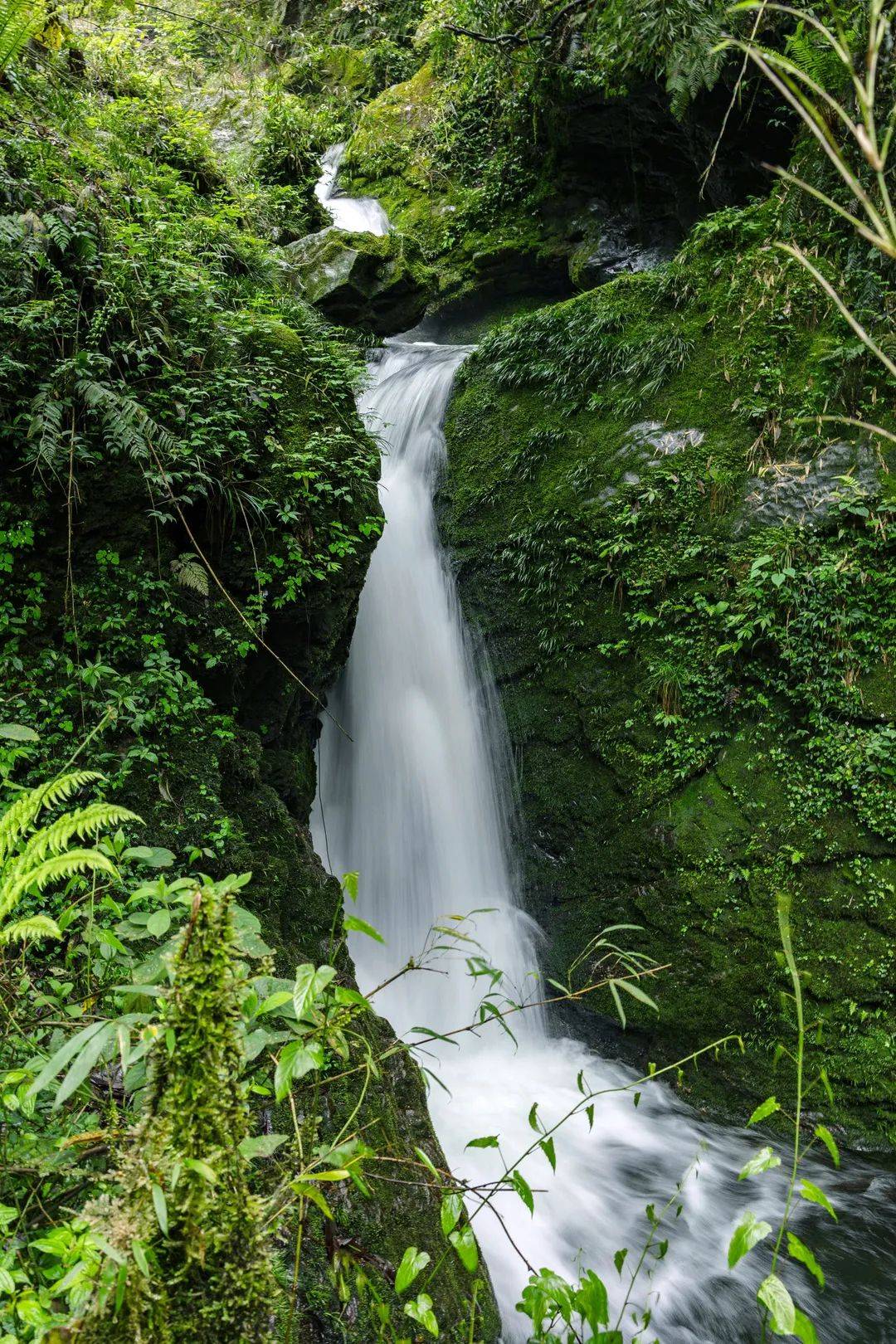 遠離酷暑就來瓦屋山景區