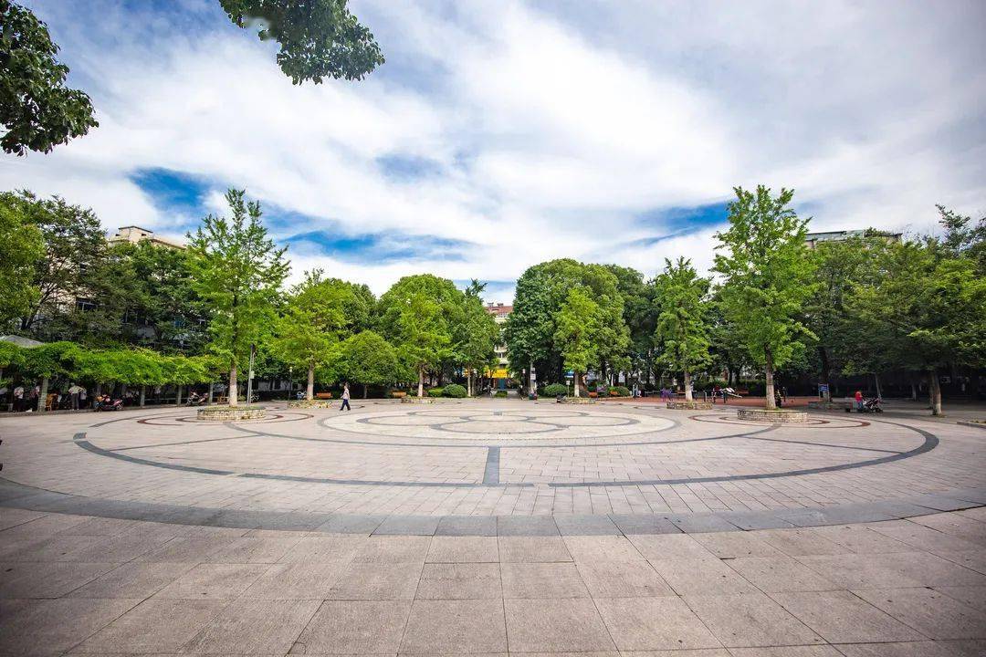 中河生活圈休闲好去处中河街道这几处高颜值公园不容错过