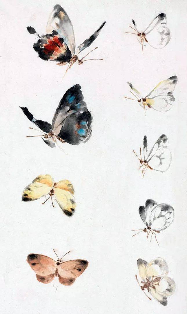 萧朗课徒画稿分享禽鸟草虫