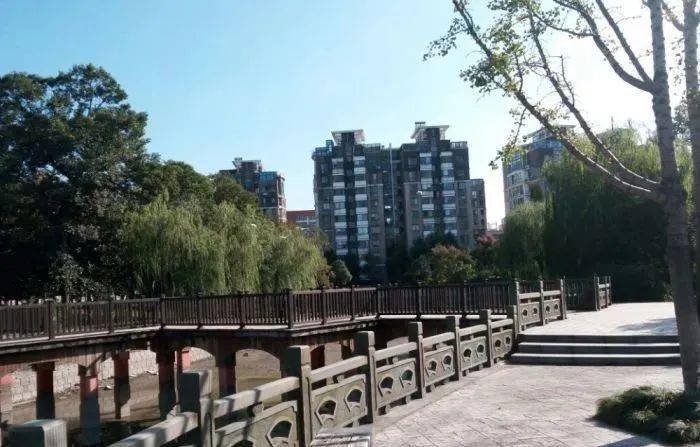 中河生活圈休闲好去处中河街道这几处高颜值公园不容错过