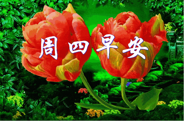 星期四,早安,朋友!3,幸福不是房子有多大,而是房里笑声