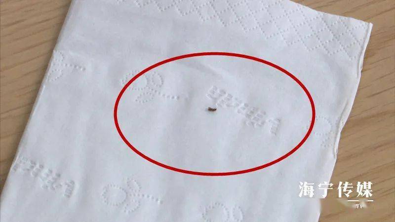 经过辨认,消杀人员确定 这种虫子叫粉蠹[dù],又称粉蛀虫,是一类蛀虫