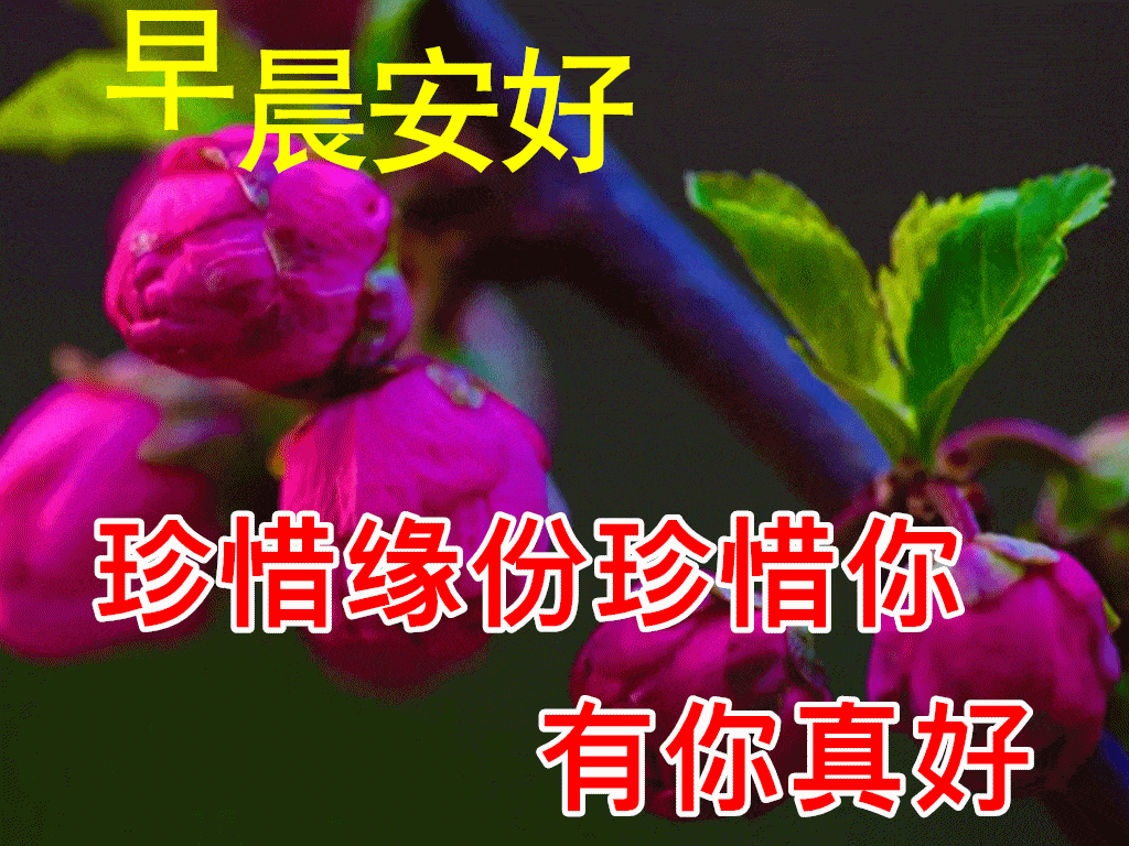 早上好动态表情图片大全早晨好动图美图大全
