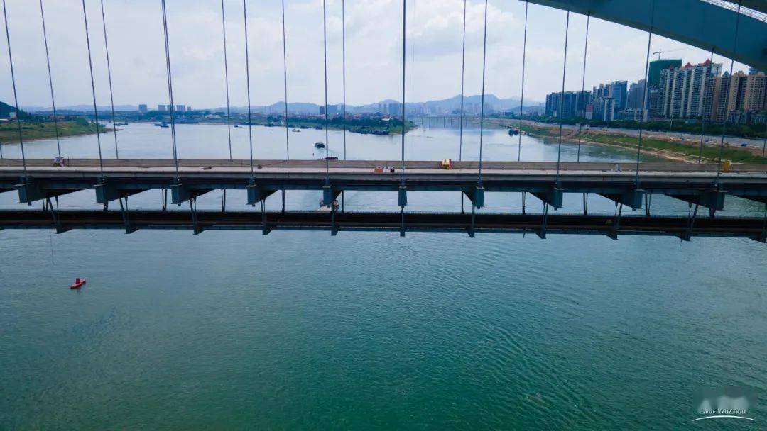 西江四桥计划于7月通车梧州即将喜提一座网红桥