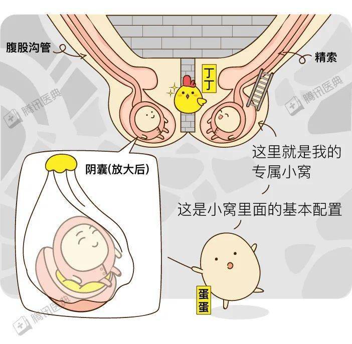 男生的蛋蛋最怕什么我们总结了5大事故现场发现