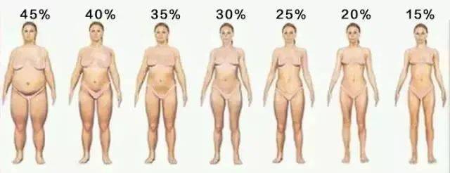 你的体脂率是多少 用一个公式可大致评估 体重