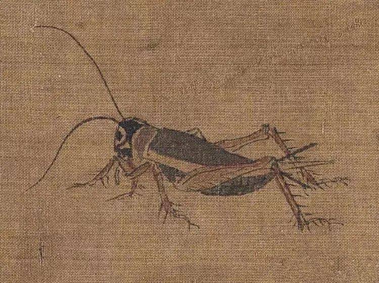 五代黄筌写生珍禽图高清鉴赏