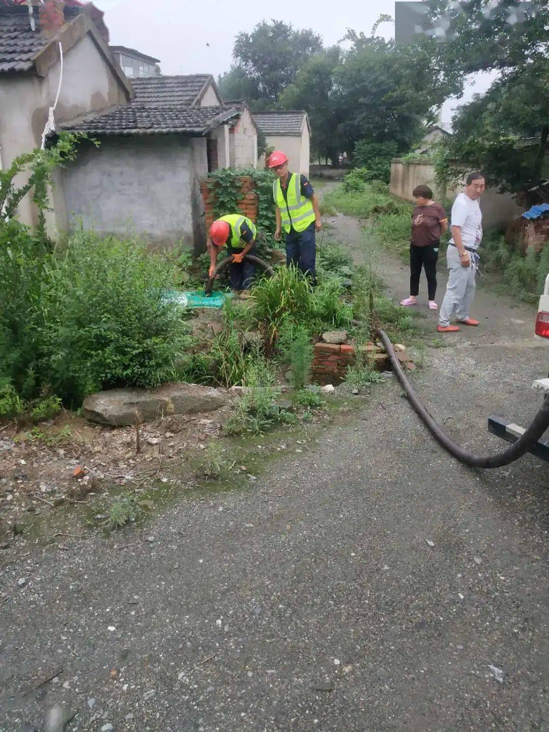 庙岗乡:"厕所革命"让"方便"更方便