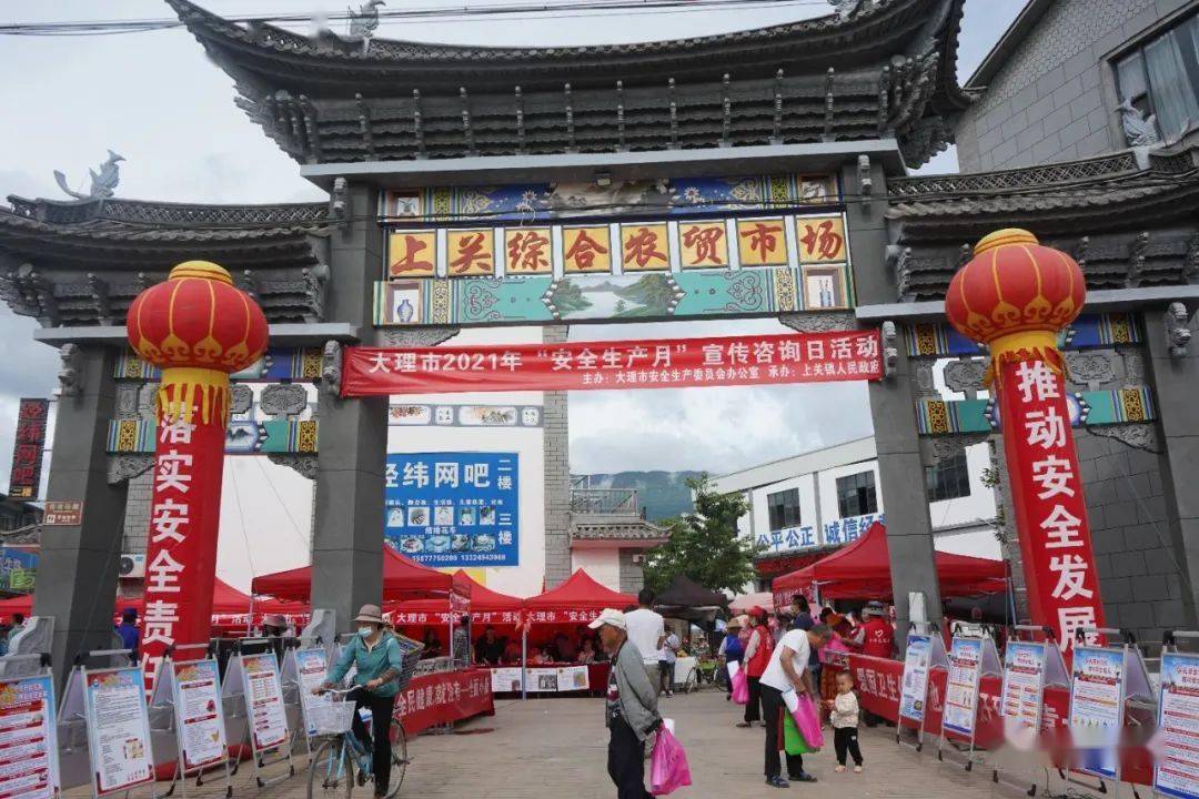 市洱海保护治理及流域转型发展指挥部驻上关镇工作队,大理市无人机