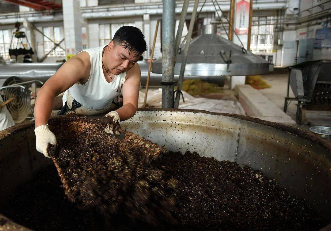 茅台酒四轮次入佳境—茅台酒传统酿造工艺影像探秘之七