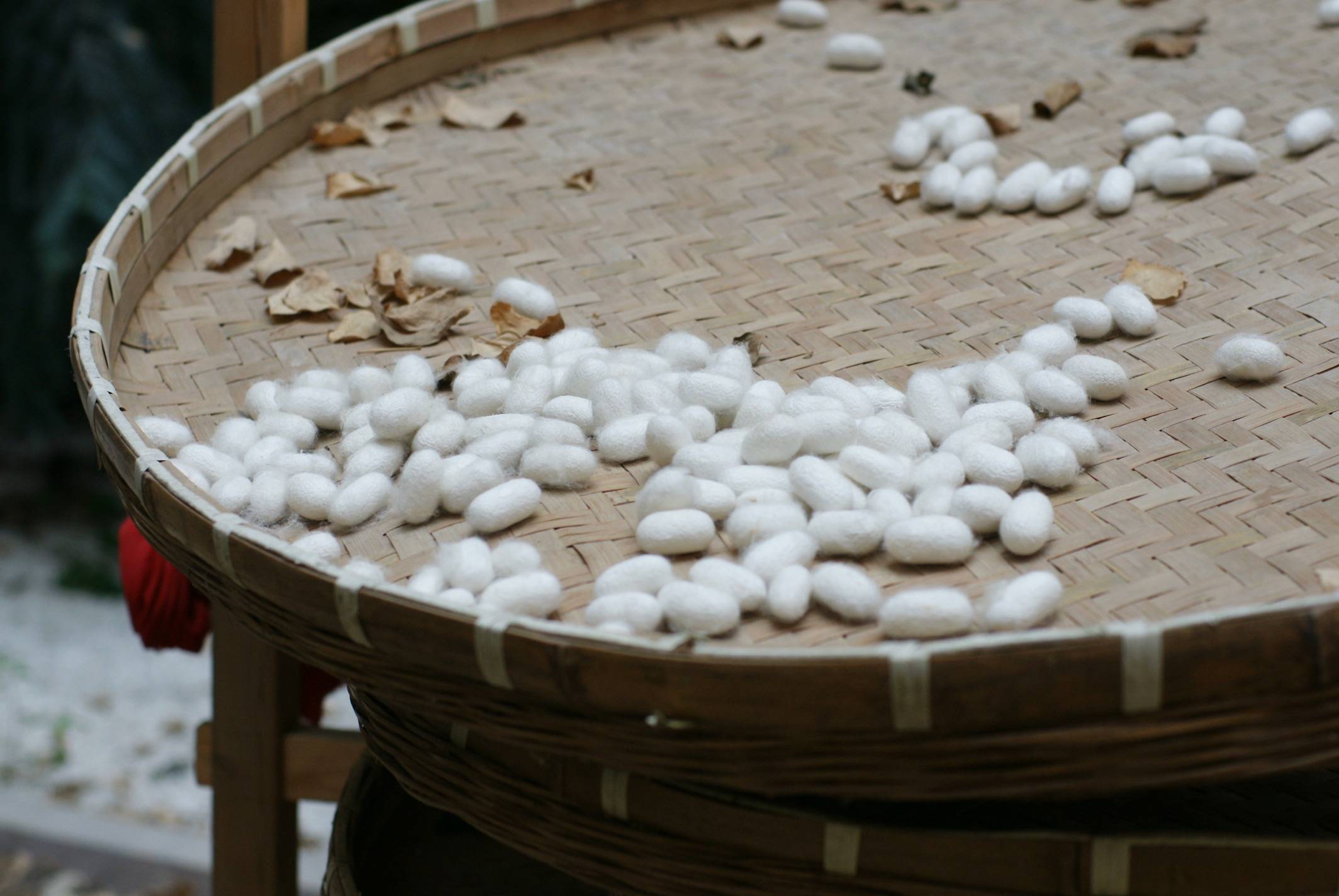 小镇盛泽:走上t台的千年绸都