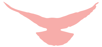 9210084f23ce40f1b1ebf71b3954a619.png