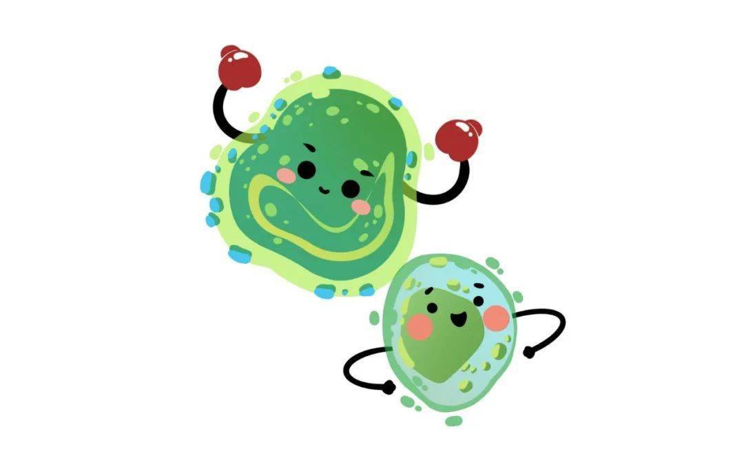 科普对青霉素皮试的认识误区您中招了么