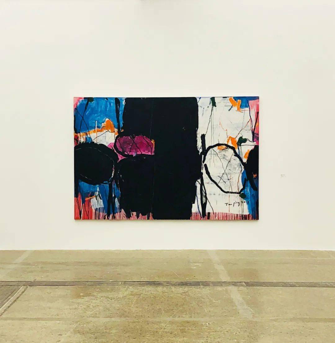 没有问过谭平的十个问题_作品