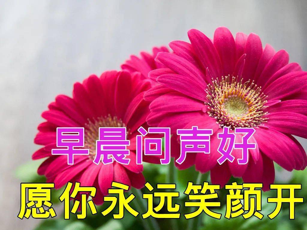 6月21日最漂亮早上好动态表情图片大全早上好动图美图大全